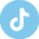 Tiktok Icon